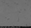Graphene on Your Substrate