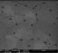 Monolayer Graphene on Si3N4 (10 mm x 10 mm)