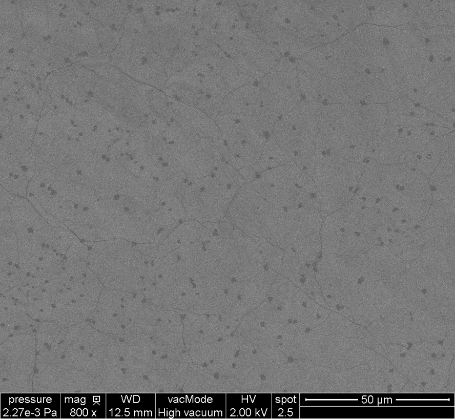 Monolayer Graphene on 300 nm SiO₂/Si