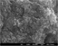 Reduced Graphene Oxide Powder
