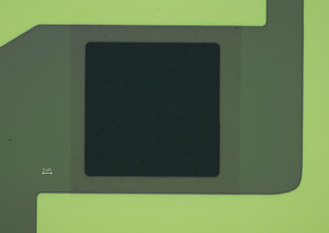GFET-S22P for Sensing applications