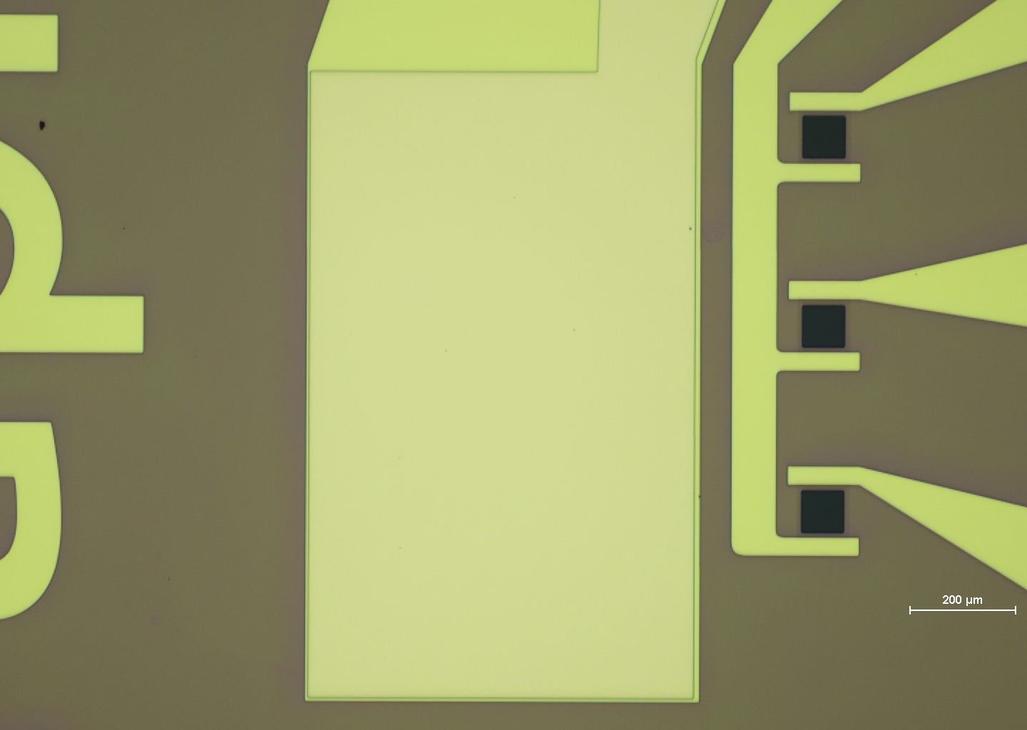GFET-S22P for Sensing applications