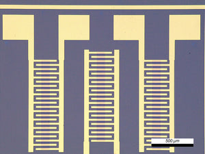 GFET-S12 for Sensing applications