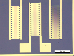 GFET-S12 for Sensing applications