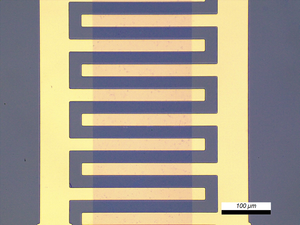 GFET-S12 for Sensing applications