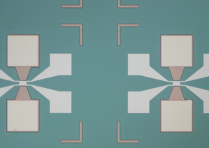 GFET-S31 for Sensing applications