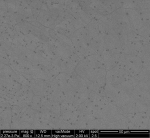 Monolayer Graphene on 300 nm SiO₂/Si