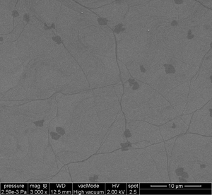 GFET-S21 for Sensing applications