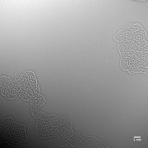 Easy Transfer: Monolayer Graphene on Polymer Film