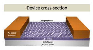 GFET-S12 for Sensing applications