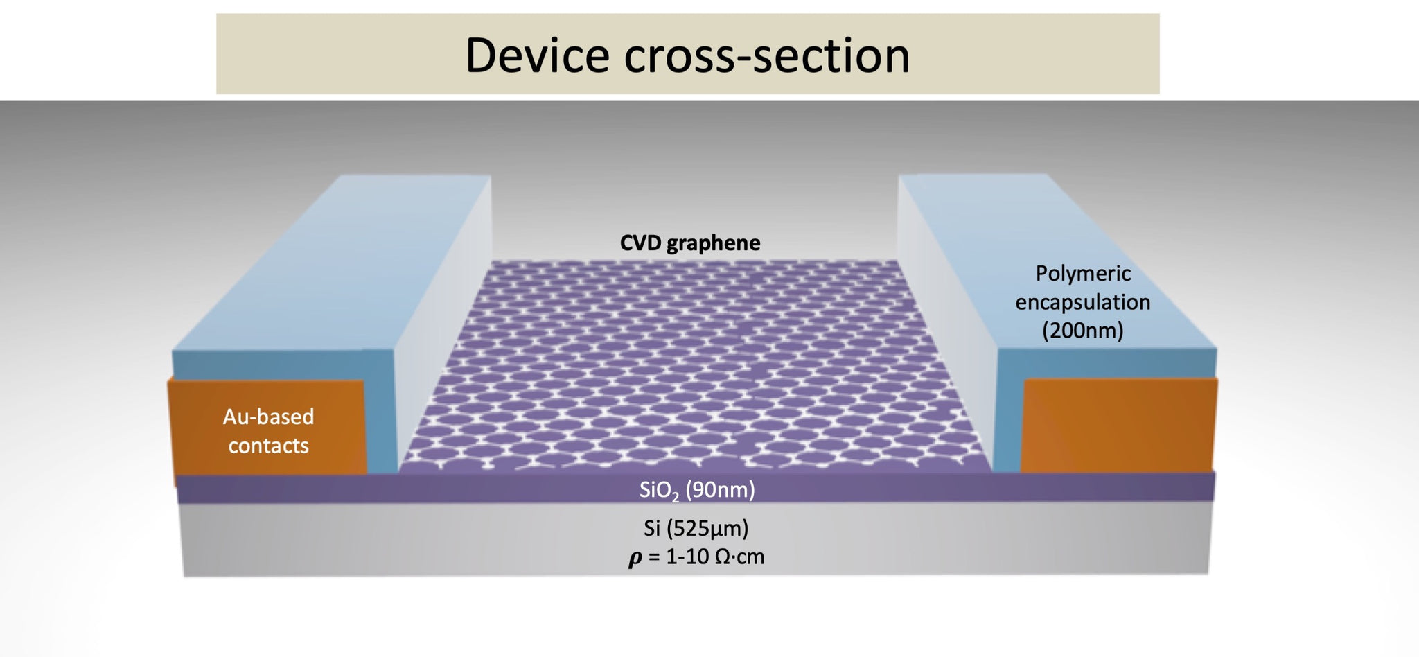 GFET-S21P for Sensing applications